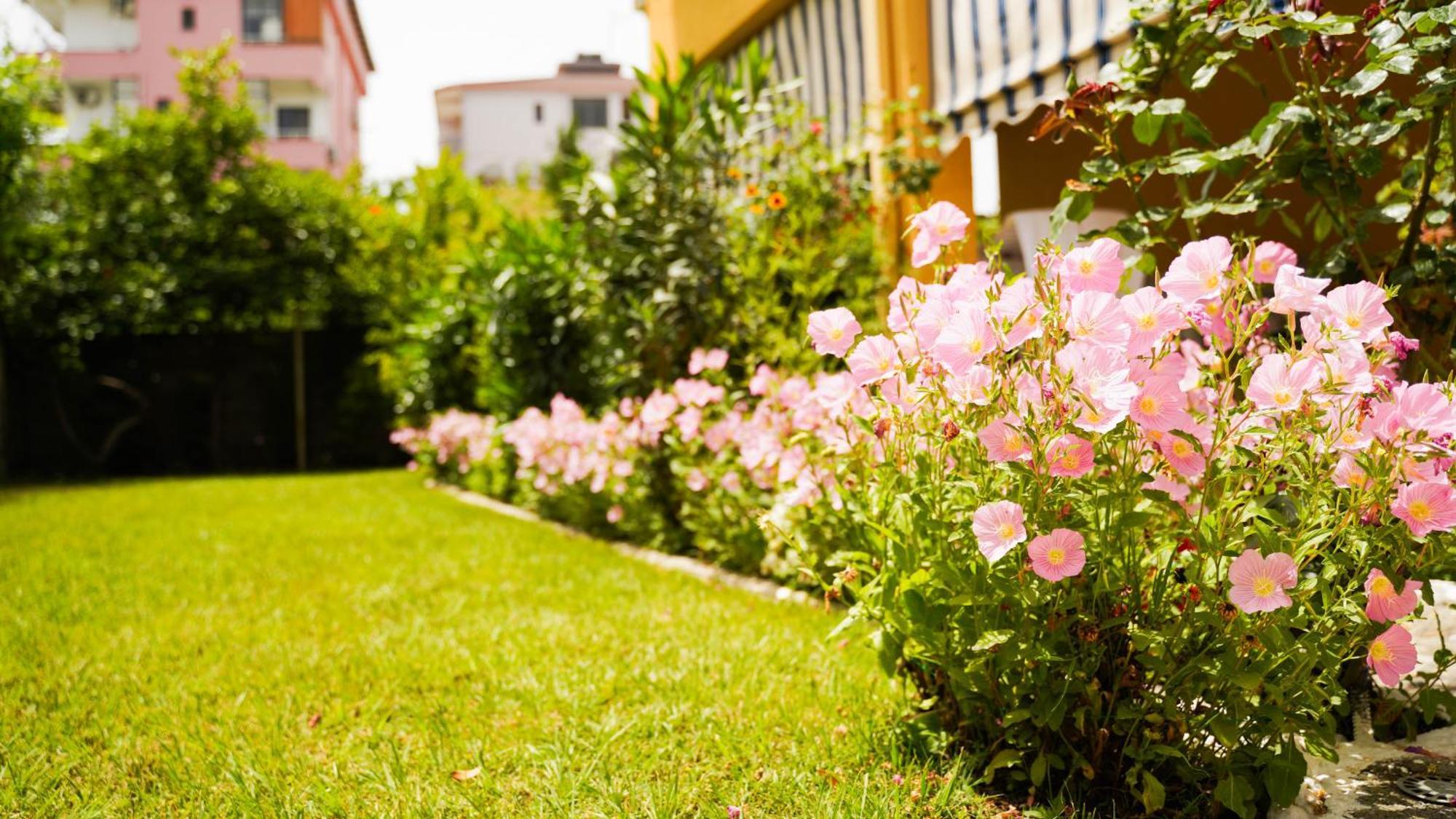 Vila Aliaj Luxury Apartment With 2 Rooms With Private Wonderful Terrace Durres Exterior photo